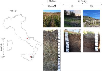 Investigating the impact of pedoclimatic conditions on the oenological performance of two red cultivars grown throughout southern Italy